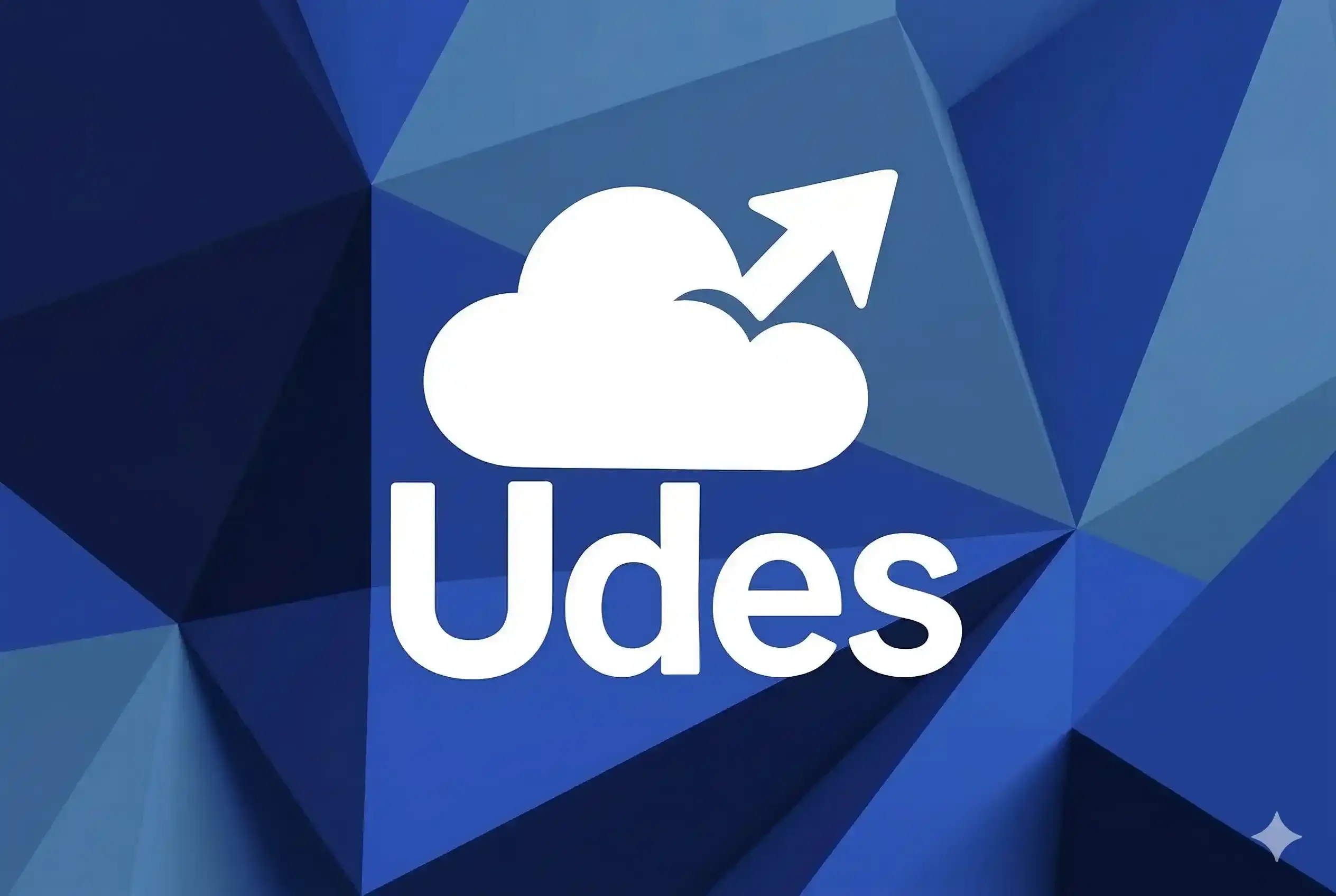 Udes Tool 1 Year Activation